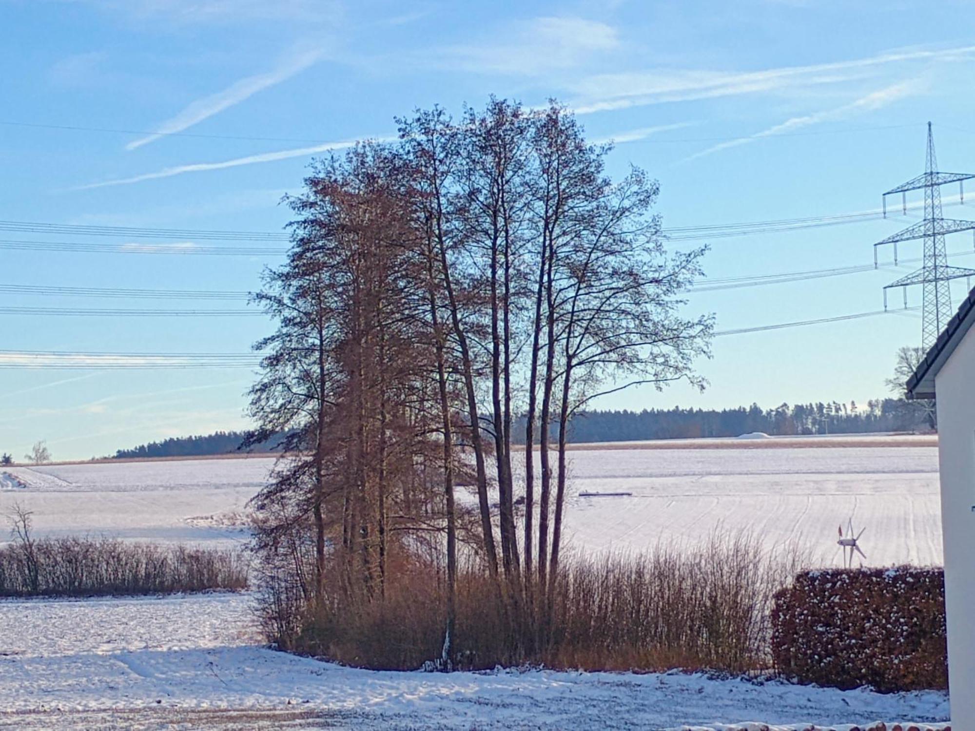 Monteurzimmer Beate Ackermann Hochstadt am Main Buitenkant foto