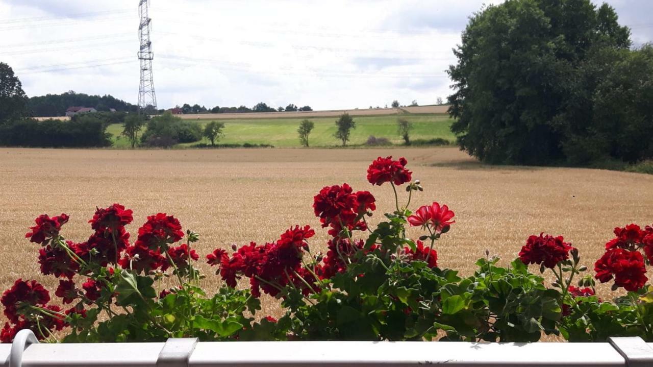 Monteurzimmer Beate Ackermann Hochstadt am Main Buitenkant foto